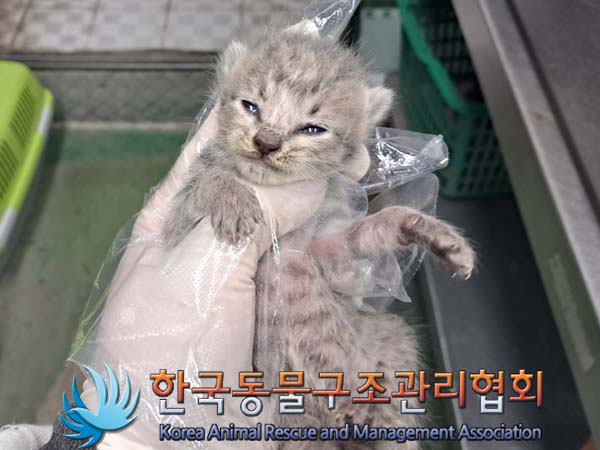 종료(자연사) 한국…